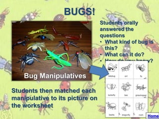 BUGS!
                                 Students orally
                                 answered the
                                 questions
                                 • What kind of bug is
                                   this?
                                 • What can it do?
                                 • How do you know?

    Bug Manipulatives

Students then matched each
manipulative to its picture on
the worksheet
                                                   Home
 