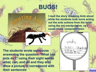BUGS!
                            I read the story Amazing Ants aloud
                            while the students took turns acting
                            out the ants actions from the book
                            using the ant manipulative, so I
                            could check comprehension




The students wrote sentences
answering the question “What can
ants do?” using their sight words
what, can, and do and they also
drew a picture to correspond with
their sentences                                             Home
 
