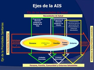 Marco Conceptual MAIS