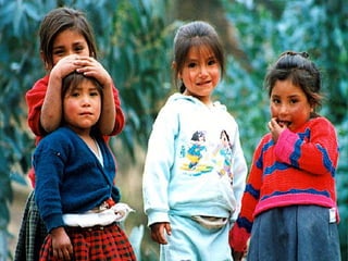 Marco Conceptual MAIS