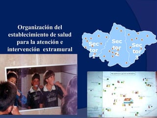 Marco Conceptual MAIS