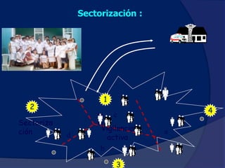 Marco Conceptual MAIS