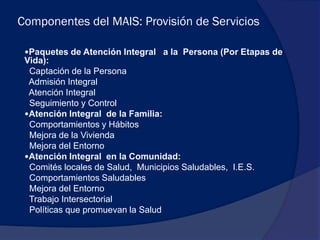 Marco Conceptual MAIS