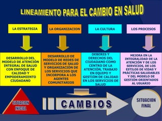 Marco Conceptual MAIS