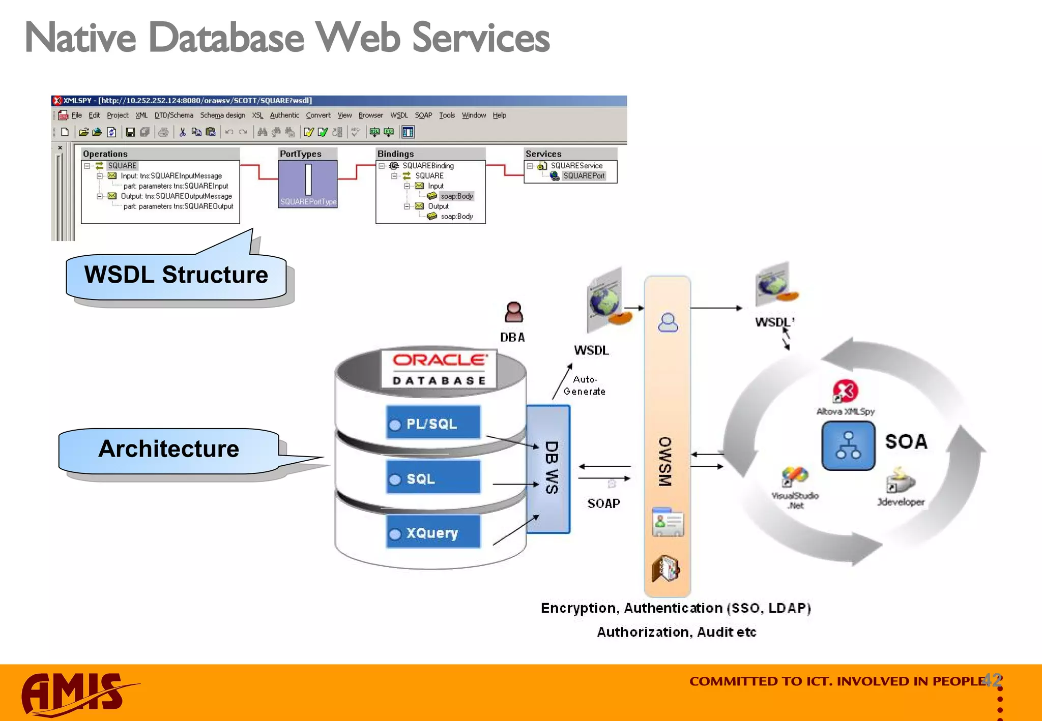 Native Database Web Services WSDL Structure Architecture 