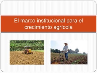 El marco institucional para el
crecimiento agrícola
 