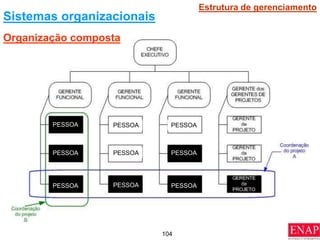 104
Sistemas organizacionais
Estrutura de gerenciamento
PESSOA PESSOA PESSOA
PESSOA
PESSOA
PESSOA PESSOA PESSOA
PESSOA
Organização composta
 