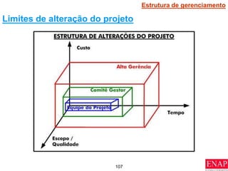 107
Limites de alteração do projeto
Estrutura de gerenciamento
 