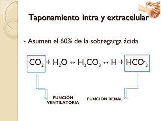 Taponamiento intra y extracelular <ul><li>- Asumen el 60% de la sobregarga ácida </li></ul><ul><li>CO 2  + H 2 O  ↔ H 2 CO...