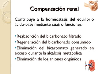 Compensación renal <ul><li>Contribuye a la homeostasis del equilibrio ácido-base mediante cuatro funciones: </li></ul><ul>...