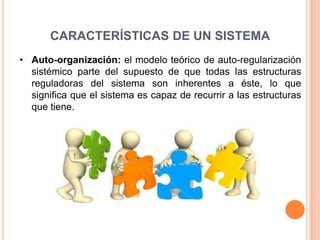 CARACTERÍSTICAS DE UN SISTEMA
• Auto-organización: el modelo teórico de auto-regularización
  sistémico parte del supuesto de que todas las estructuras
  reguladoras del sistema son inherentes a éste, lo que
  significa que el sistema es capaz de recurrir a las estructuras
  que tiene.
 