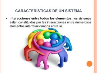 CARACTERÍSTICAS DE UN SISTEMA
• Interacciones entre todos los elementos: los sistemas
  están constituidos por las interacciones entre numerosos
  elementos interrelacionados entre sí.
 