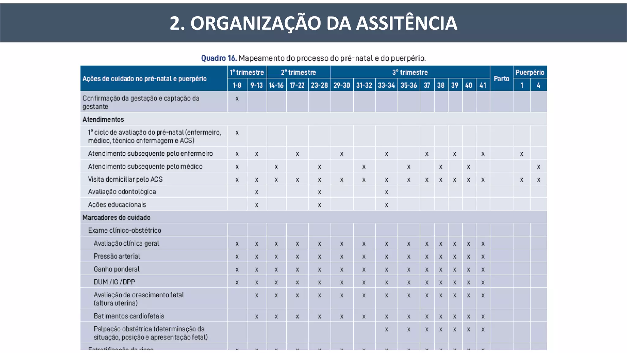 2. ORGANIZAÇÃO DA ASSITÊNCIA