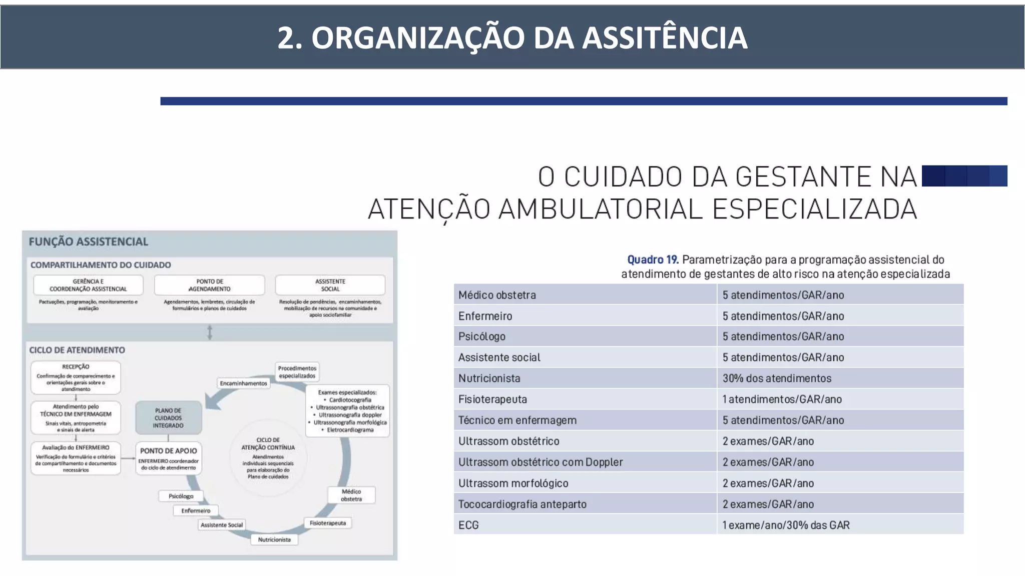 2. ORGANIZAÇÃO DA ASSITÊNCIA