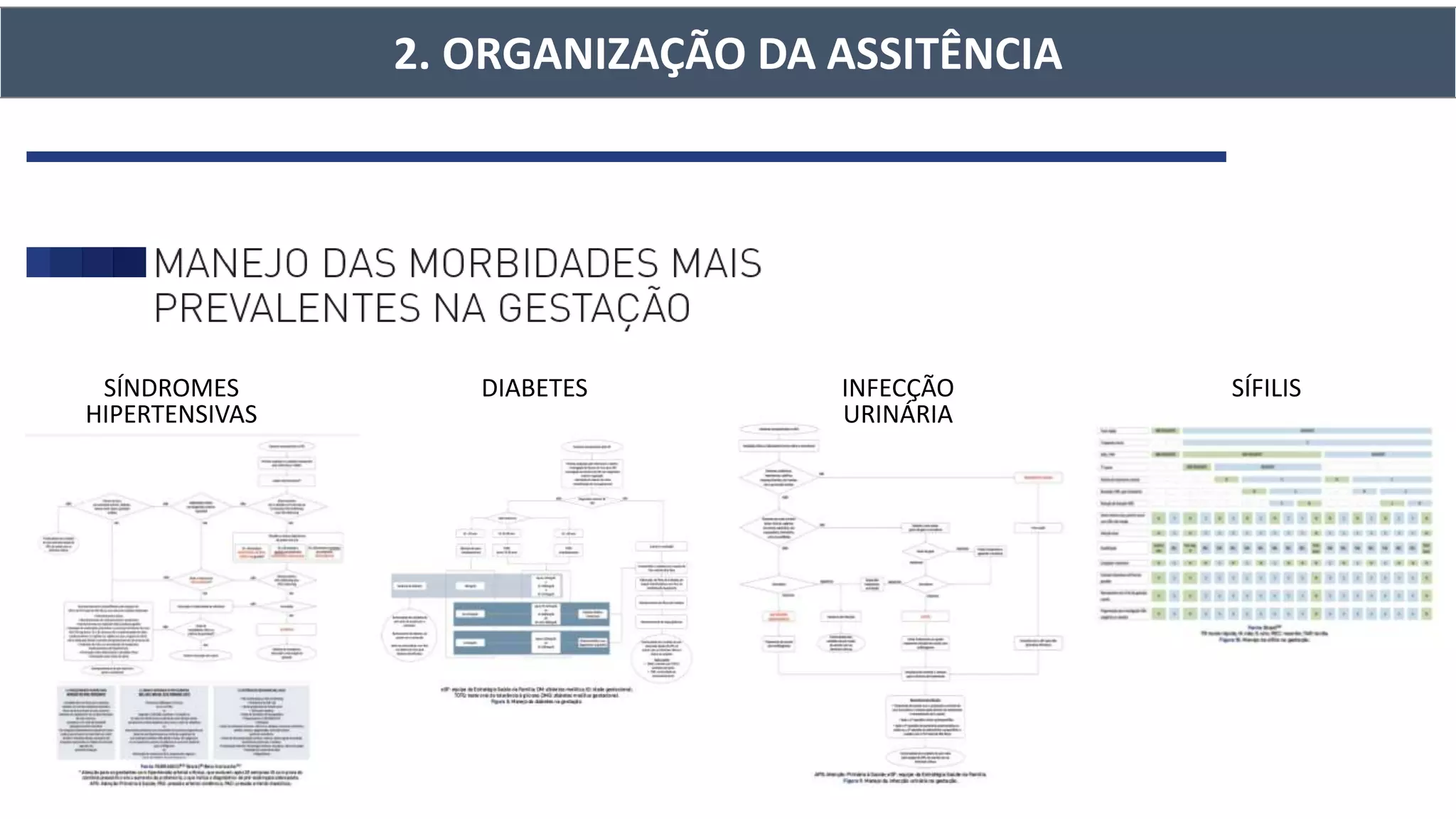 SÍNDROMES
HIPERTENSIVAS
DIABETES INFECÇÃO
URINÁRIA
SÍFILIS
2. ORGANIZAÇÃO DA ASSITÊNCIA