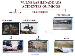 VULNERABILIDADE AOS
ACIDENTES QUÍMICOS
AR ÁGUA SOLO
HUMANOS FAUNA/FLORA
PROPRIEDADE
SERES VIVOS MEIO AMBIENTE
Fonte: Internet
FONTE: CETESB
 