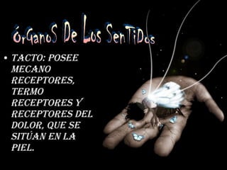 Tacto: Posee mecano receptores, termo receptores y receptores del dolor, que se sitúan en la piel. ÓrGanoS De Los SenTiDos 