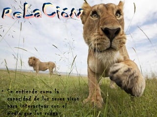 Se entiende como la capacidad de los seres vivos para interactuar con el medio que los rodea ReLaCióN 