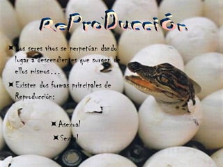 Los seres vivos se perpetúan dando lugar a descendientes que surgen de ellos mismos… Existen dos formas principales de Reproducción: Asexual Sexual ReProDucciÓn  
