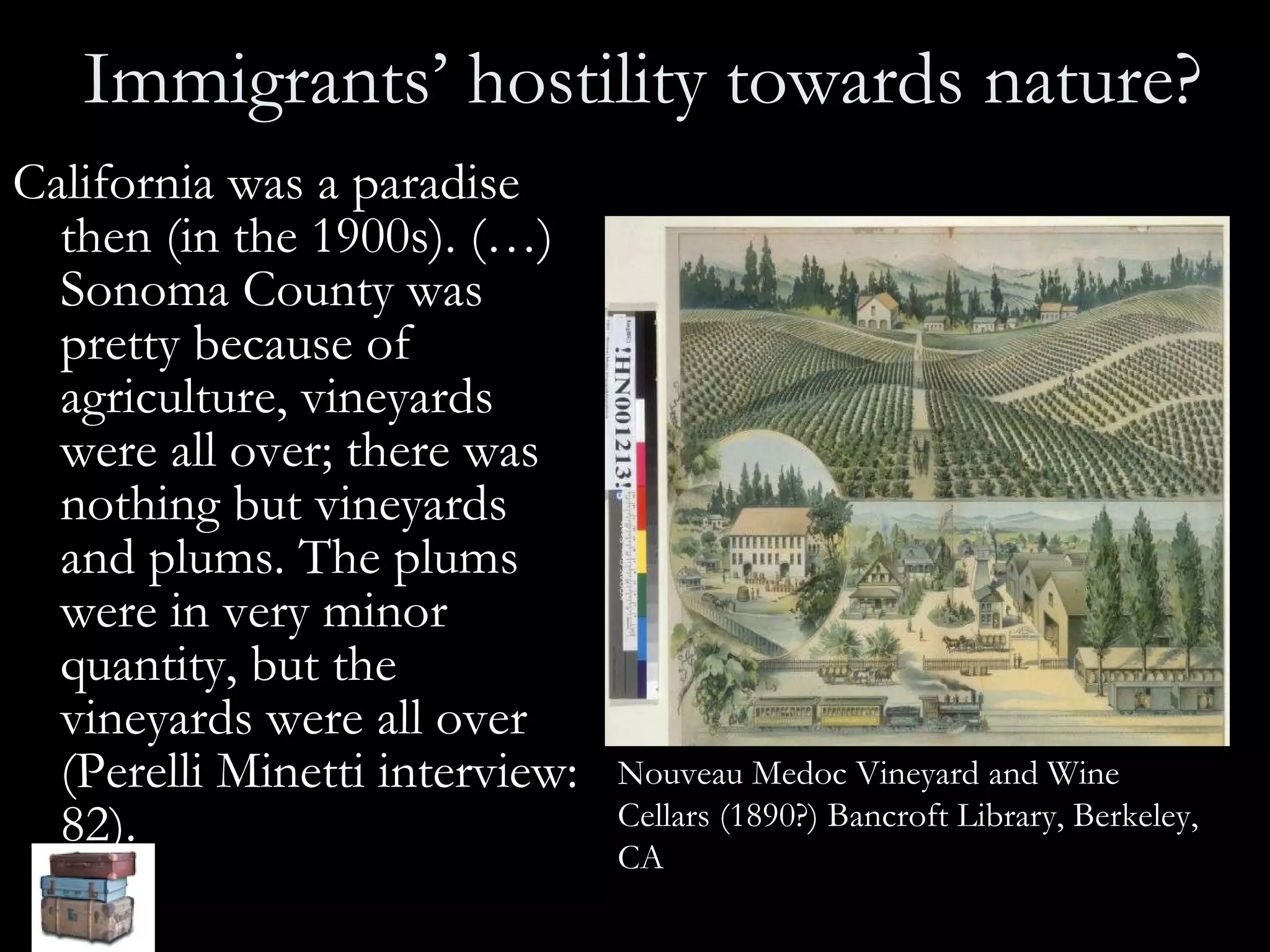 Immigrants’ hostility towards nature?  California was a paradise then (in the 1900s). (…) Sonoma County was pretty because of agriculture, vineyards were all over; there was nothing but vineyards and plums. The plums were in very minor quantity, but the vineyards were all over (Perelli Minetti interview: 82).   Nouveau Medoc Vineyard and Wine Cellars (1890?) Bancroft Library, Berkeley, CA   