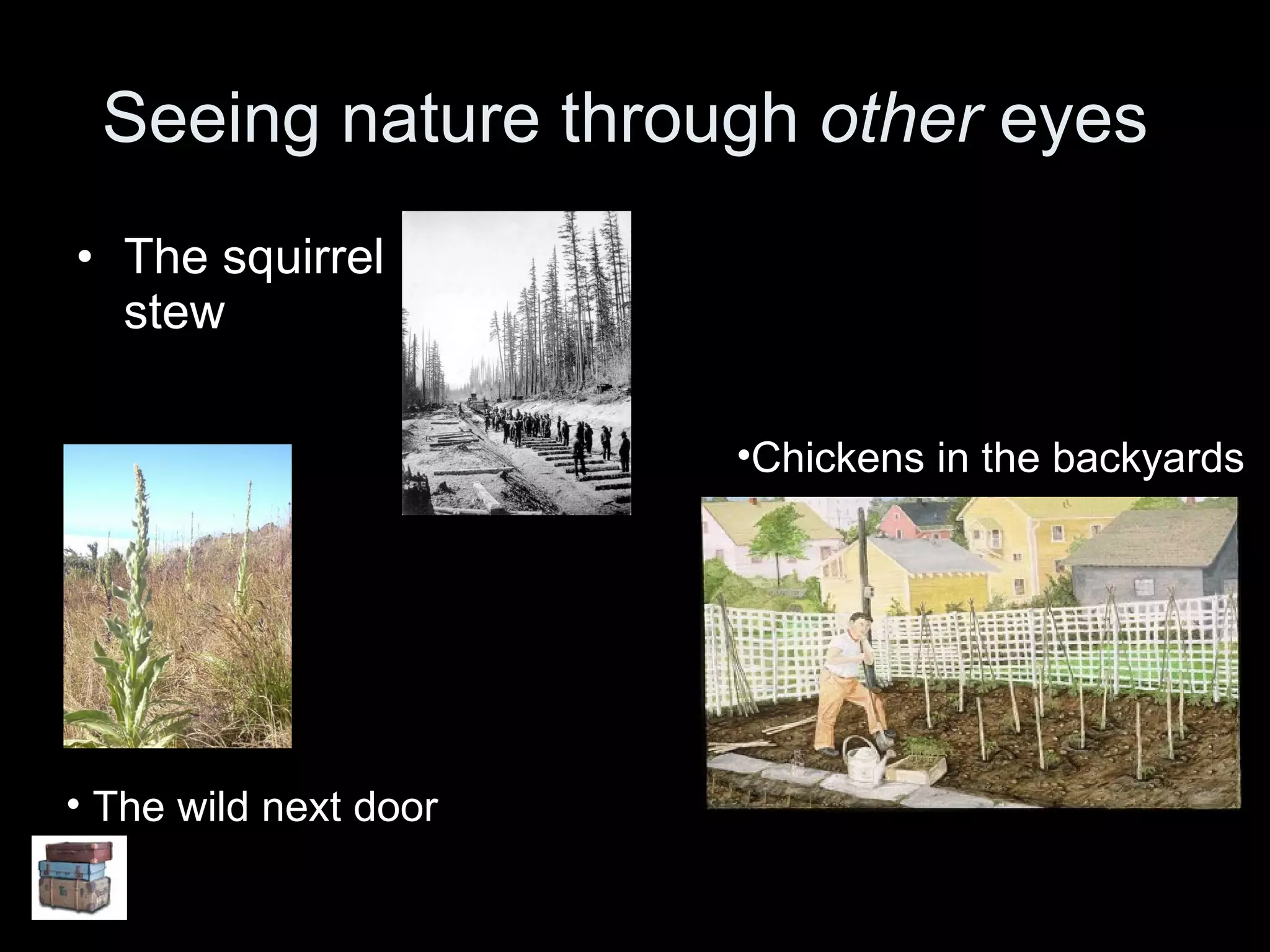 Seeing nature through  other  eyes  The squirrel stew  Chickens in the backyards  The wild next door 