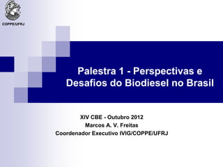 COPPE/UFRJ




                  Palestra 1 - Perspectivas e
                Desafios do Biodiesel no Brasil


                     XIV CBE - Outubro 2012
                       Marcos A. V. Freitas
             Coordenador Executivo IVIG/COPPE/UFRJ
 