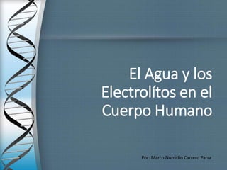 El Agua y los
Electrolítos en el
Cuerpo Humano
Por: Marco Numidio Carrero Parra
 