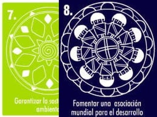 O bjetivos de  D esarrollo del  M ilenio 