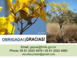 15 
Email: gepae@fnde.gov.br 
Phone: 55 61 2022 4976 / 55 61 2022 4980 
veruska.prado@gmail.com 
OBRIGADA! 
Lima, 2012 
Lima, 2012  