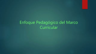 Enfoque Pedagógico del Marco 
Curricular 
 