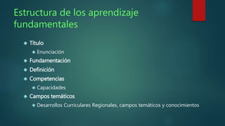 Estructura de los aprendizaje 
fundamentales 
 Título 
 Enunciación 
 Fundamentación 
 Definición 
 Competencias 
 Capacidades 
 Campos temáticos 
 Desarrollos Curriculares Regionales, campos temáticos y conocimientos 
 