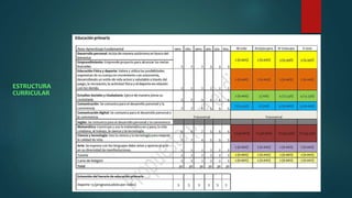 ESTRUCTURA 
CURRICULAR 
 