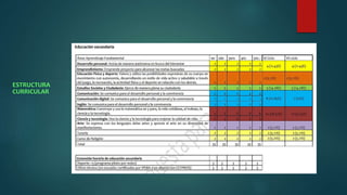 ESTRUCTURA 
CURRICULAR 
