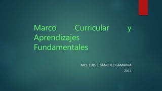 Marco Curricular y 
Aprendizajes 
Fundamentales 
MTS. LUIS E. SÁNCHEZ GAMARRA 
2014 
 