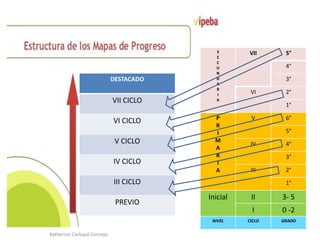 S
E
C
U
N
D
A
R
I
A
VII 5°
4°
3°
VI 2°
1°
P
R
I
M
A
R
I
A
V 6°
5°
IV 4°
3°
III 2°
1°
Inicial II 3- 5
I 0 -2
NIVEL CICLO GR...