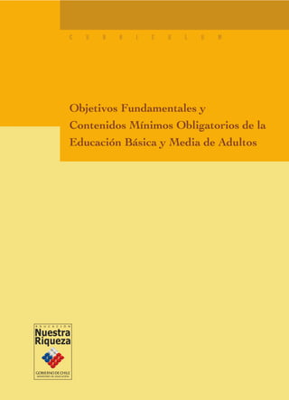 C   U   R   R   I   C   U   L   U   M




Objetivos Fundamentales y
Contenidos Mínimos Obligatorios de la
Educación Básica y Media de Adultos
 