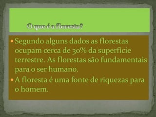 O que é a floresta?Segundo alguns dados as florestas ocupam cerca de 30% da superfície terrestre. As florestas são fundamentais para o ser humano. A floresta é uma fonte de riquezas para o homem.