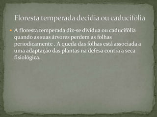 O solo é muito rico em nutrientes.A vegetação das florestas temperadas é variada: desde as coníferas e árvores com folhas largas caducas.