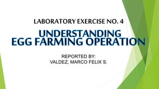 LABORATORY EXERCISE NO.4
REPORTED BY:
VALDEZ, MARCO FELIX S.
 