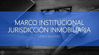 MARCO INSTITUCIONAL
JURISDICCIÓN INMOBILIARIA
HORFFI MONTERO
 