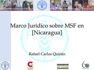 Marco Jurídico sobre MSF en
[Nicaragua]
Rafael Carlos Quinto.
 