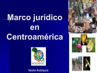 Marco jurídico
      en
Centroamérica


     Noelia Rodríguez
 