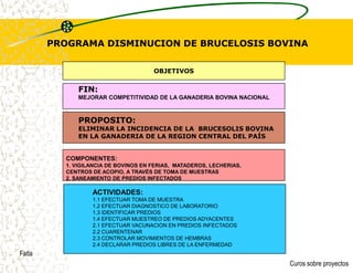 La Matriz de Marco LógicoEs un sistema estructuradopara planificary comunicaren un solo cuadrola información más importante sobre un proyecto.