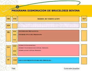 Otros.FatlaCuros sobre proyectos