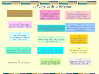 Paso 1. Construir árbol de causas y efectos

a) Tarjetas de problemas
1
LA FRUTA SE DETERIORA
EN LA RECOLECCIÓN

2
MENORES INGRESOS
DE LOS AGRICULTORES

3
OBREROS MAL
CAPACITADOS PARA
RECOLECCIÓN

4
ABUNDANCIA DE OFERTA
EN EPOCA DE COSECHA

5
PÉRDIDAS EN COSECHA

6
PROLIFERACIÓN
DE PLAGAS Y
MALOS OLORES

7
MAQUINAS RECOLECTORAS
INADECUADAS

8
MAQUINAS RECOLECTORAS
OBSOLETAS

9
OBREROS MALTRATAN
LA FRUTA AL RECOGERLA

10
BAJOS PRECIOS EN
EPOCA DE COSECHA

11
DESCONOCIMIENTO DE
TECNOLOGÍAS PARA
EMPAQUE SELECCIONADO

12
COMPRADORES CASTIGAN
PRECIOS POR NO SELECCIÓN
EN EMPAQUE

13

MANTENIMIENTO
DEFICIENTE DE
COSECHADORAS
14
FRUTA SE EMPACA
SIN SELECCIÓN

15
CONTAMINACIÓN POR
FRUTAS DAÑADAS

 