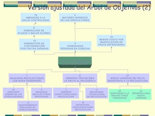 Versión ajustada del Arbol de Objetivos (2)
19
AMENAZAS A LA
SALUD CONTROLADAS

2
MAYORES INGRESOS
DE LOS AGRICULTORES

6
DISMINUCIÓN DE
PLAGAS Y MALOS OLORES
15
DISMINUCIÓN DE
CONTAMINACIÓN
POR FRUTAS DAÑADAS

5
DISMINUIDAS
PÉRDIDAS EN COSECHA

16
MENOR COSTO POR
MANIPULACIÓN DE
FRUTA DETERIORADA

1
FRUTA NO DETERIORADA
EN LA RECOLECCIÓN

7
MAQUINAS RECOLECTORAS
CON BUEN DESEMPEÑO

20
ADECUADO
DISEÑO DE LAS
COSECHADORAS

8
MAQUINAS
RECOLECTORAS
RENOVADAS

13
MANTENIMIENTO
ADECUADO DE
COSECHADORAS

9
OBREROS TRATAN BIEN
LA FRUTA AL RECOGERLA

3
OBREROS
CAPACITADOS PARA
RECOLECCIÓN

17
MEJORADAS
TECNOLOGÍAS
DE RECOLECCIÓN

18
INCENTIVOS
ADECUADOS PARA
RECOLECCIÓN

21
NUEVA VARIEDAD DE FRUTA
RESISTENTE A LA RECOLECCIÓN

22
ADAPTADAS A LA
REGIÓN OTRAS
VARIEDADES

23
DESARROLLADA
NUEVA
VARIEDAD

 