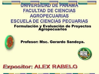 Formulación y Evaluación de Proyectos
Agropecuarios
Profesor: Msc. Gerardo Sandoya.

 