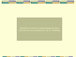 El ámbito de acción se seleccionaron los lotes
22,23,24 con una superficie de 142.15 hectáreas

 