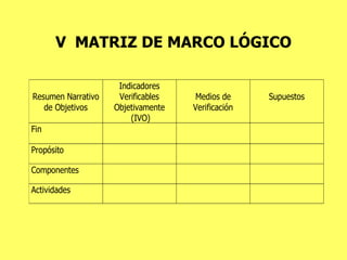 V  MATRIZ DE MARCO LÓGICO 
