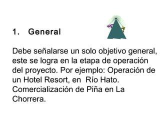 1. General 
Debe señalarse un solo objetivo general, 
este se logra en la etapa de operación 
del proyecto. Por ejemplo: Operación de 
un Hotel Resort, en Río Hato. 
Comercialización de Piña en La 
Chorrera. 
 